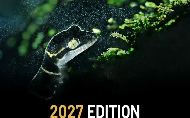 FPA2 Poster Photography Award 2027 UK
